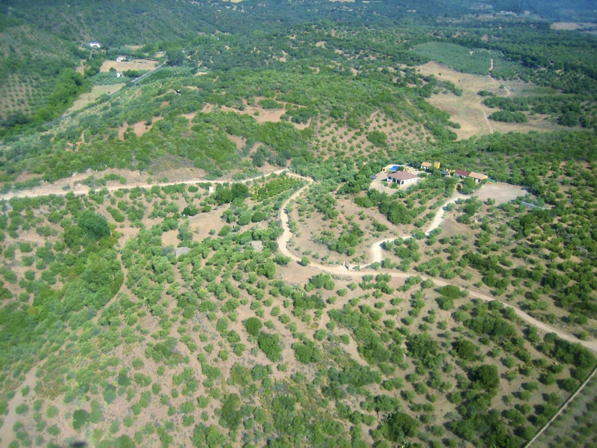 奥尔纳丘埃洛斯Complejo Rural Mirador De La Alcaidia别墅 外观 照片